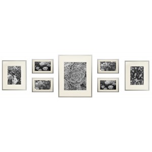 Ivy Bronx Giltner 7 Piece Gallery Wall Aluminum Picture Frame Set IVYX1085